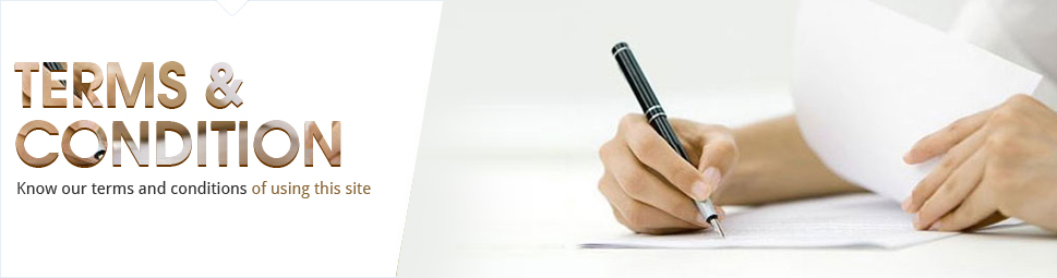 Terms and Conditions
